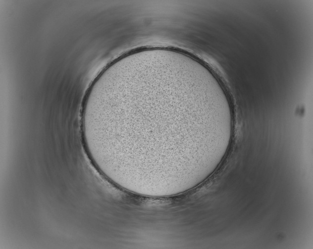 X0000111011183200907101308