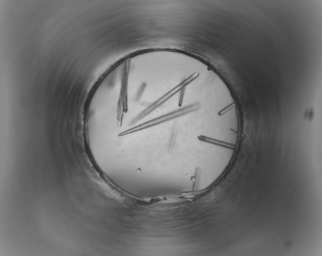 X0000111011184200907101308