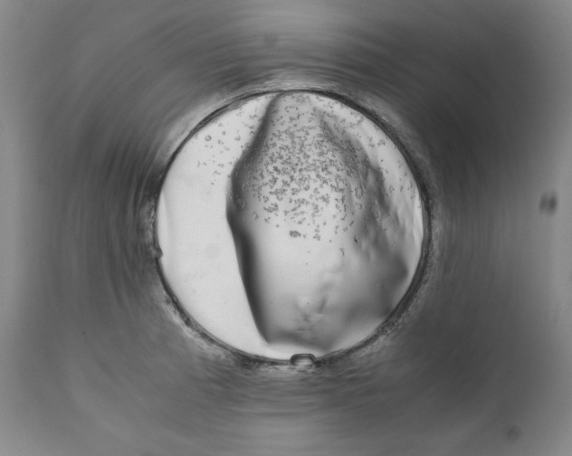 X0000111011185200907101308