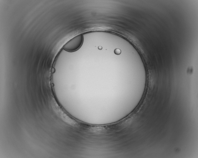 X0000111011186200907101308