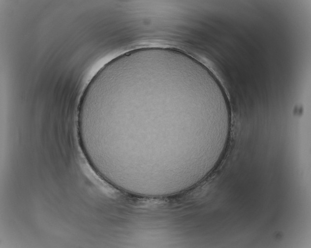 X0000111011187200907101308