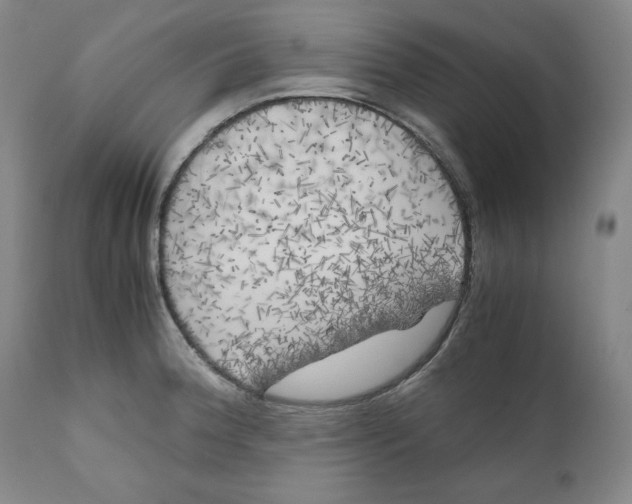 X0000111011188200907101308