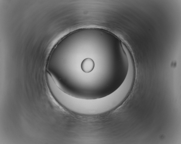 X0000111011189200907101308