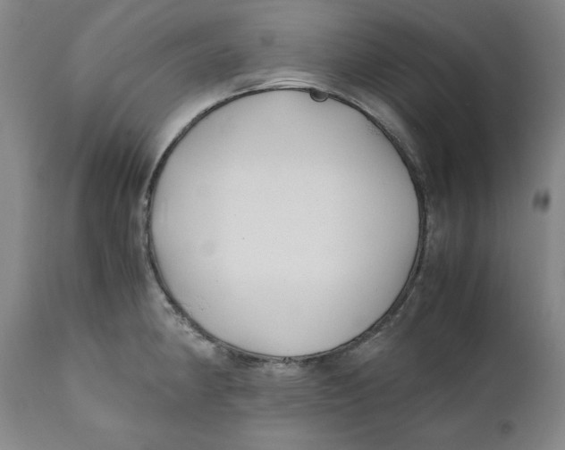X0000111011190200907101308