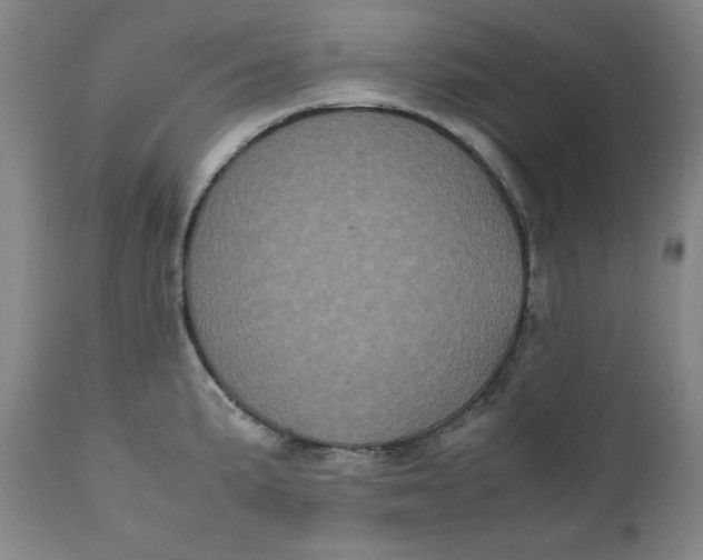 X0000111011191200907101308
