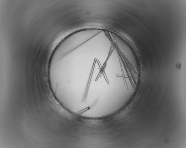 X0000111011192200907101308
