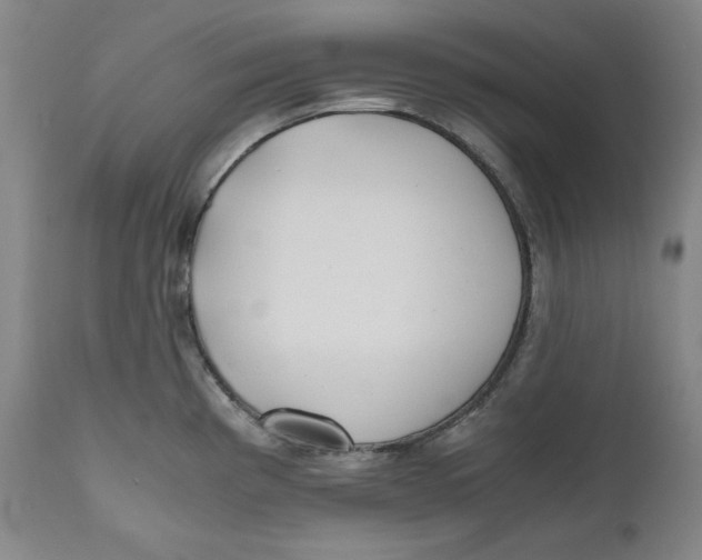 X0000111011193200907101308