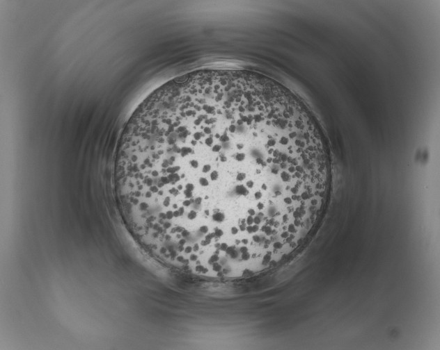 X0000111011194200907101308