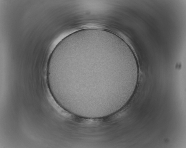X0000111011195200907101308