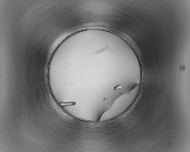 X0000111011196200907101308