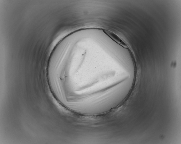 X0000111011197200907101308