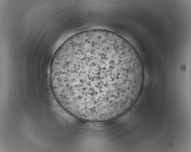 X0000111011198200907101308