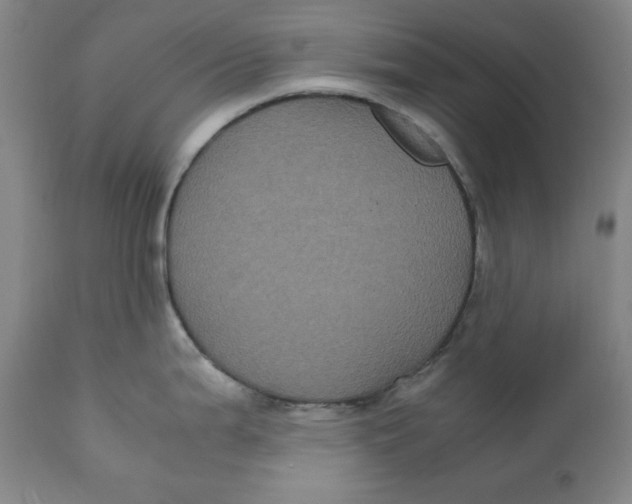X0000111011199200907101308