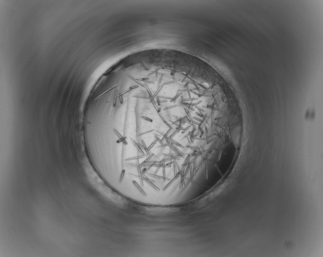 X0000111011200200907101308