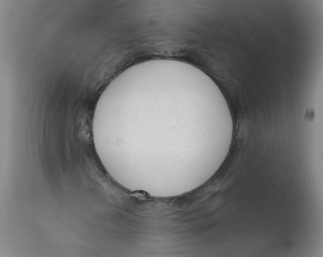 X0000111011202200907101307
