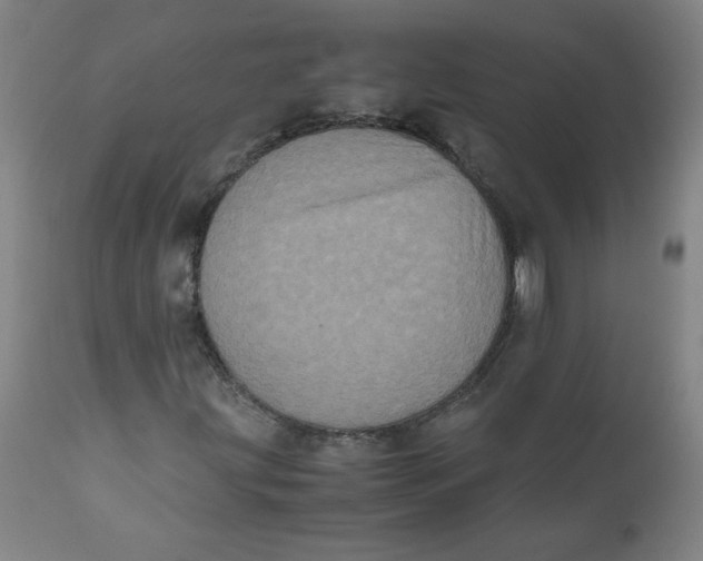 X0000111011203200907101307