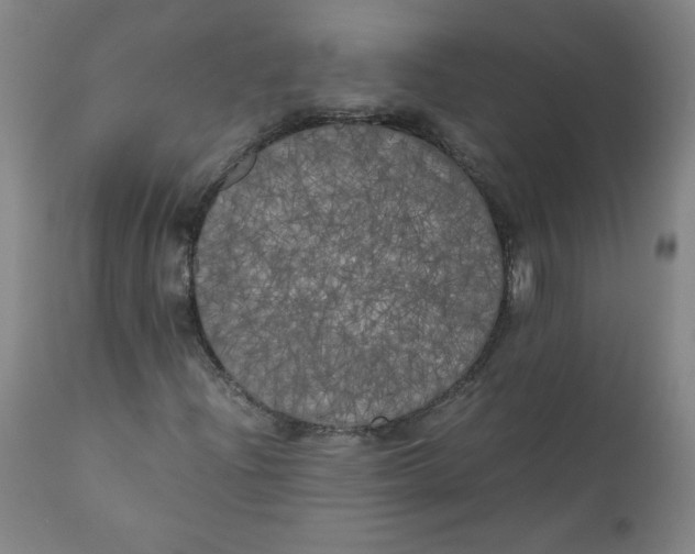 X0000111011204200907101307