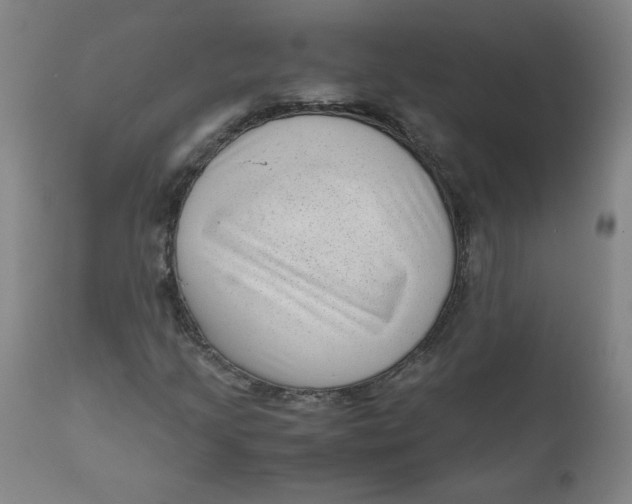 X0000111011205200907101307