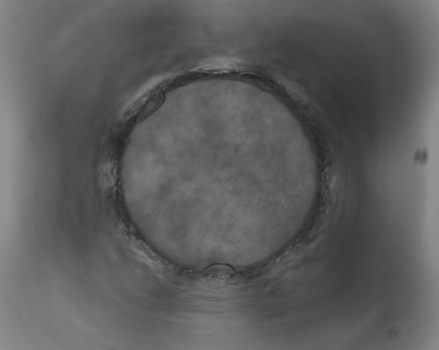 X0000111011206200907101307
