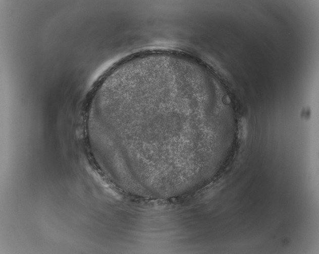 X0000111011208200907101308