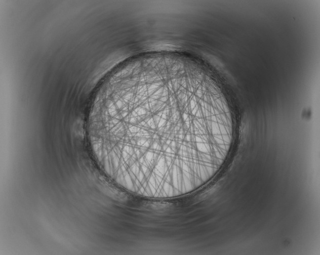 X0000111011209200907101308