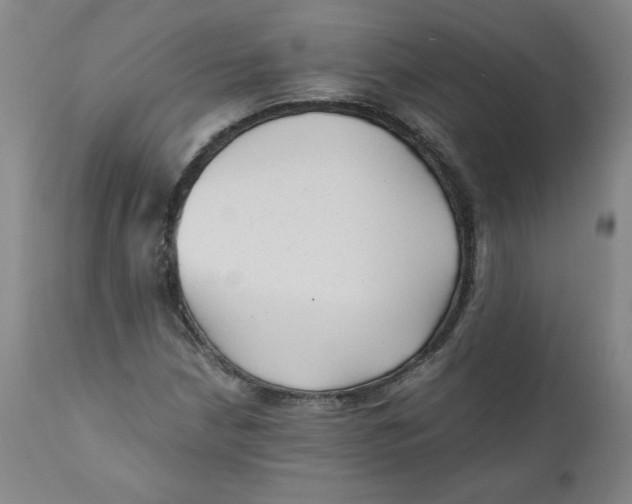 X0000111011210200907101308