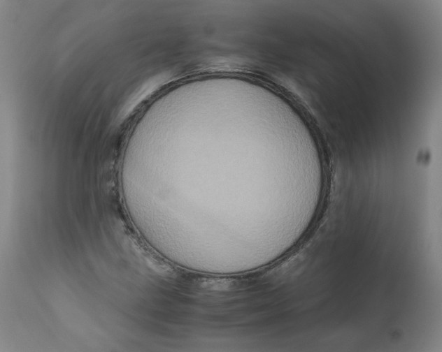 X0000111011211200907101308