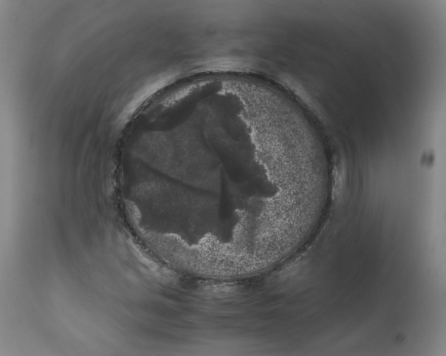 X0000111011213200907101308