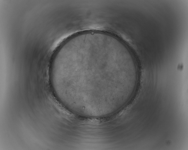 X0000111011214200907101308