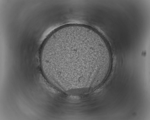 X0000111011215200907101308