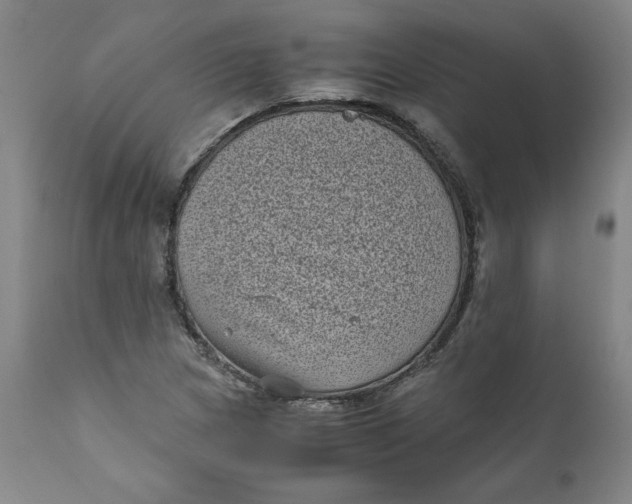 X0000111011217200907101308