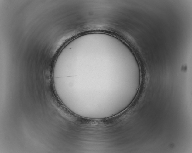 X0000111011218200907101308