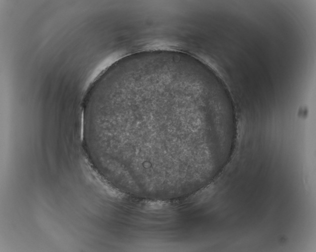 X0000111011219200907101308
