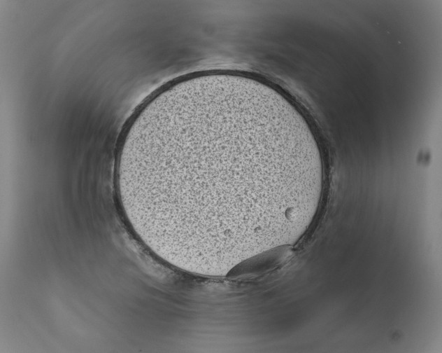X0000111011220200907101308