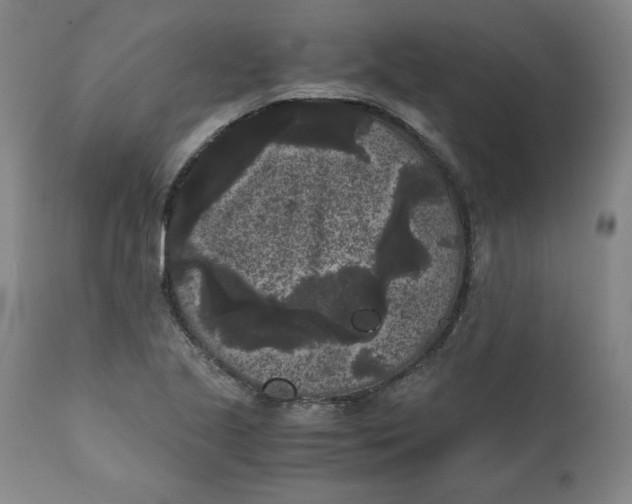 X0000111011221200907101308