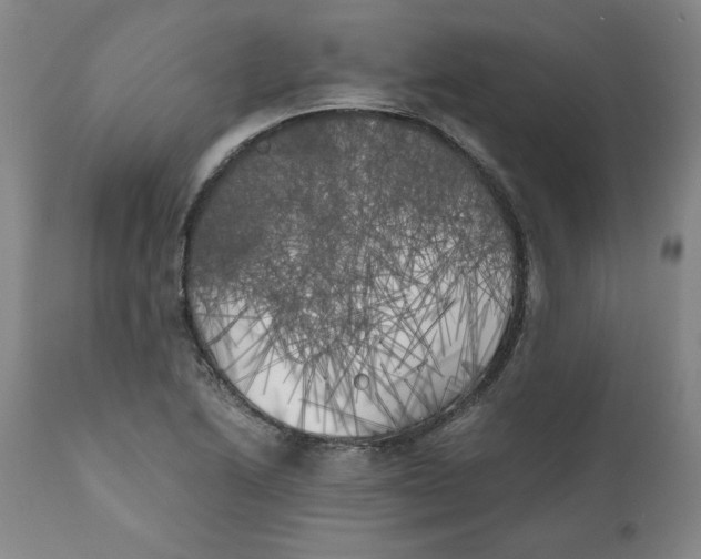 X0000111011222200907101308