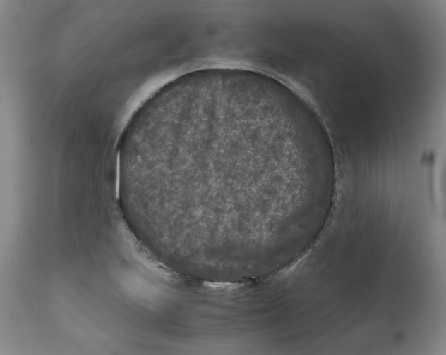 X0000111011223200907101308
