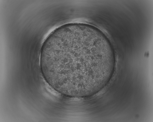 X0000111011224200907101308