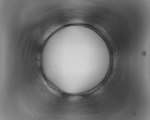X0000111011225200907101308