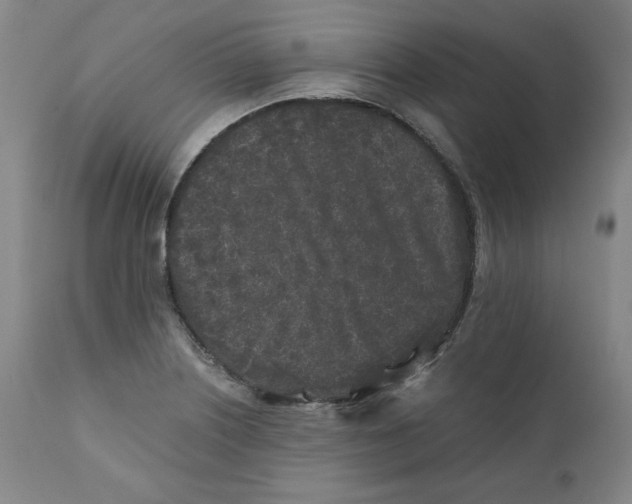 X0000111011226200907101308
