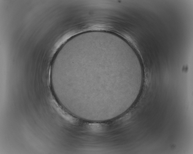X0000111011227200907101308