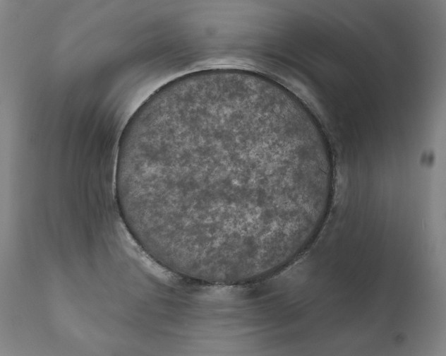X0000111011228200907101308