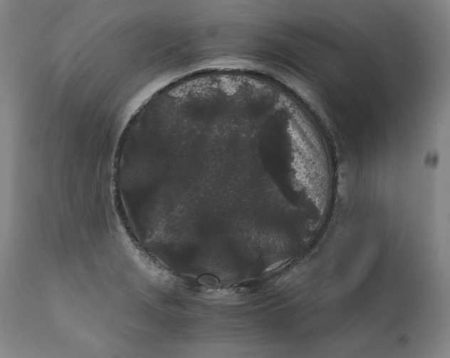 X0000111011229200907101308
