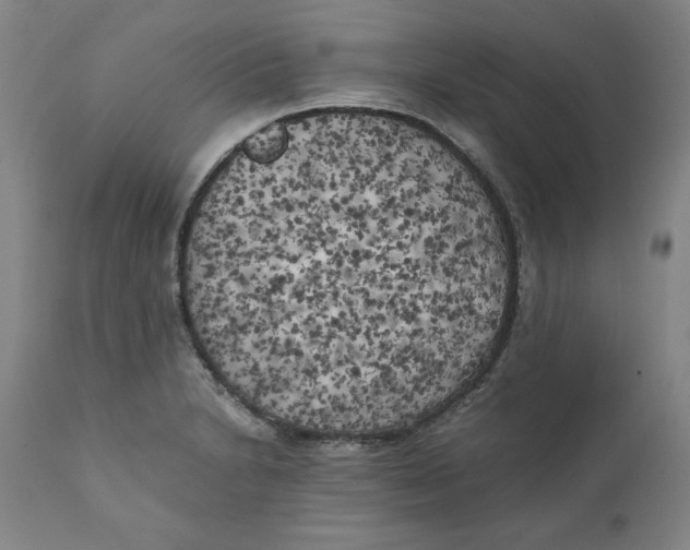 X0000111011230200907101308