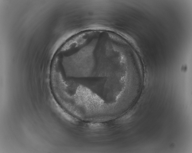 X0000111011231200907101308