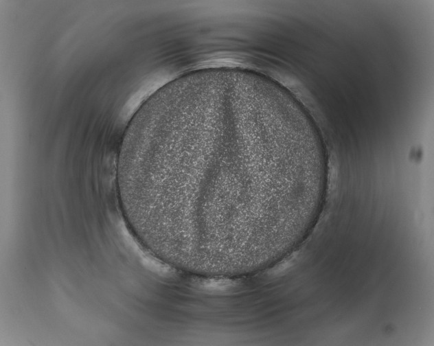 X0000111011233200907101308