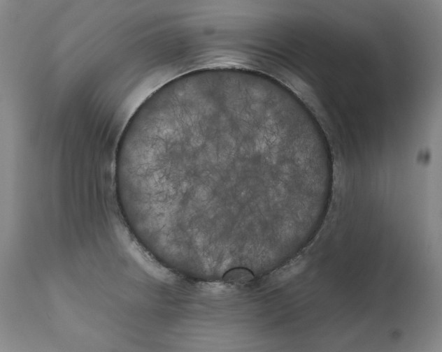 X0000111011234200907101308