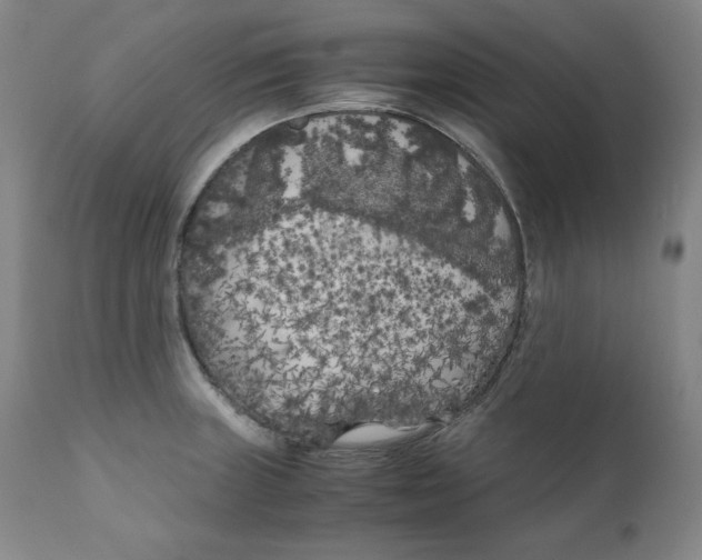 X0000111011235200907101308