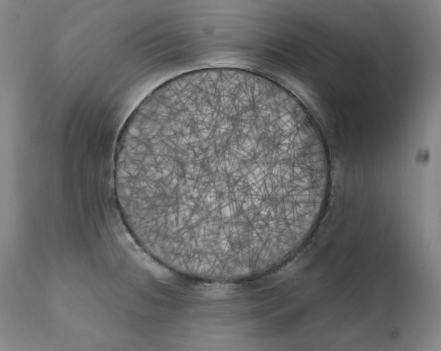 X0000111011236200907101308