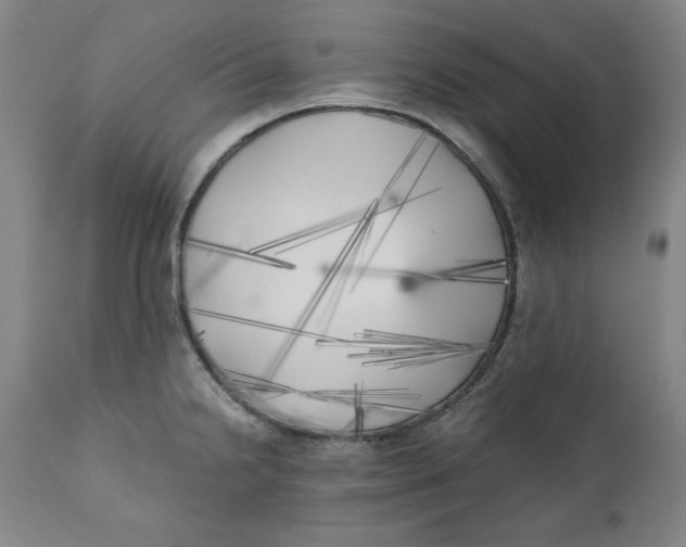X0000111011238200907101308